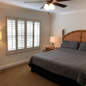 Regal Palm Davenport
